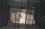Click to see DCP_5694.JPG