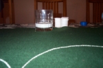Click to see DCP_4993.JPG