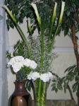 Click to see IMG_2912.JPG