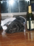 Click to see IMG_2946.JPG
