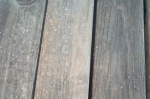 Click to see DCP_0902.JPG