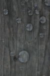 Click to see IMG_0655.JPG