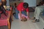 Click to see DCP_5029.JPG