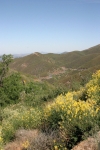 Click to see IMG_0769.JPG