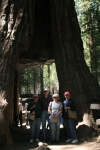 Click to see IMG_0809.JPG