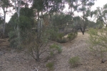 Click to see CRW_7922.jpg