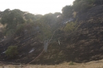 Click to see CRW_7930.jpg