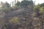 Click to see CRW_7931.jpg