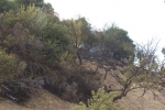 Click to see CRW_7933.jpg