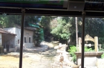 Click to see DCP_0544.JPG