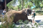 Click to see DCP_0266.JPG
