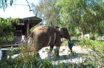 Click to see DCP_0268.JPG