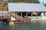 Click to see DCP_0285.JPG