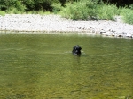Click to see 100_0703.JPG