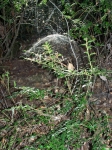 Click to see 100_0720.JPG