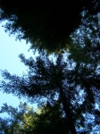 Click to see img_075.jpg