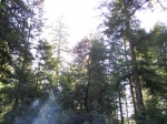 Click to see img_086.jpg