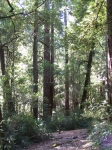 Click to see img_105.jpg