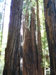 Click to see img_115.jpg