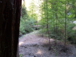Click to see img_119.jpg