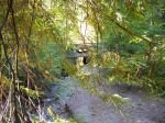 Click to see img_124.jpg