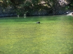 Click to see img_130.jpg