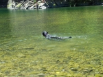Click to see img_136.jpg