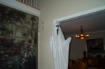 Click to see DCP_4371.JPG