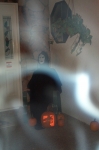 Click to see DCP_1495.JPG