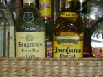 Click to see DSC00242.JPG
