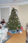 Click to see DCP_5483.JPG