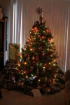 Click to see IMG_2558.JPG