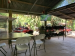 Click to see IMG_0249.JPG