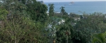 Click to see IMG_0325.JPG