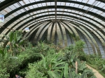 Click to see IMG_0416.JPG