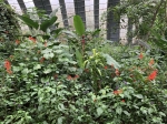 Click to see IMG_0428.JPG