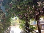 Click to see IMG_0441.JPG