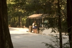 Click to see CRW_9001.jpg