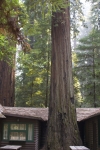 Click to see CRW_9006.jpg