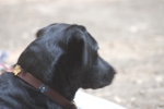 Click to see CRW_9140.jpg