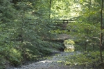 Click to see CRW_9159.jpg