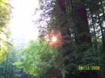 Click to see 100_1571.JPG