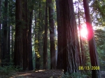 Click to see 100_1580.JPG