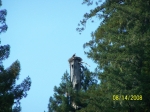 Click to see 100_1615.JPG