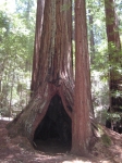 Click to see IMG_0346.JPG