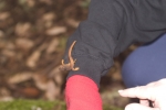 Click to see CRW_7629.jpg