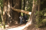 Click to see CRW_7643.jpg