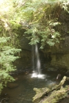 Click to see CRW_7658.jpg
