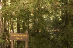 Click to see CRW_7662.jpg
