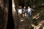 Click to see CRW_7686.jpg